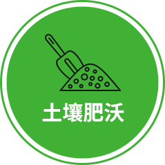 vege_4_3